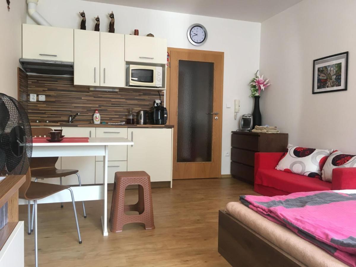 Apartman Na Pohodu 25 Διαμέρισμα Lipno nad Vltavou Εξωτερικό φωτογραφία